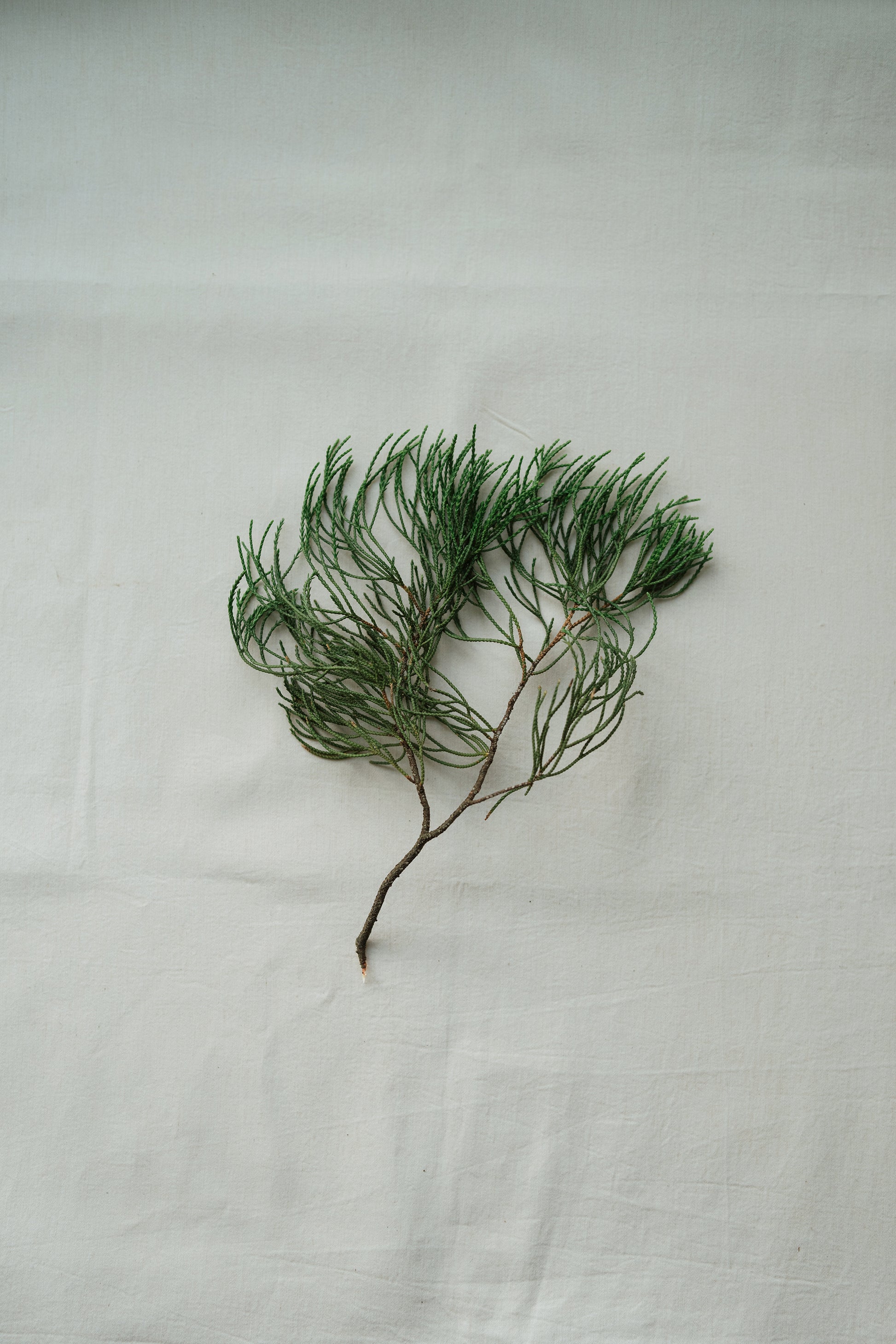 Mā HIBA Room Spray 安住翌檜午時空間噴霧 100mL