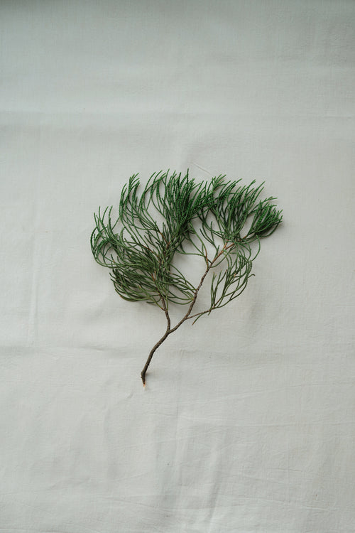 Mā HIBA Room Spray 安住翌檜午時空間噴霧 100mL